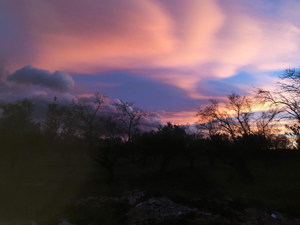Casa De Bed & Breakfast Tortosa