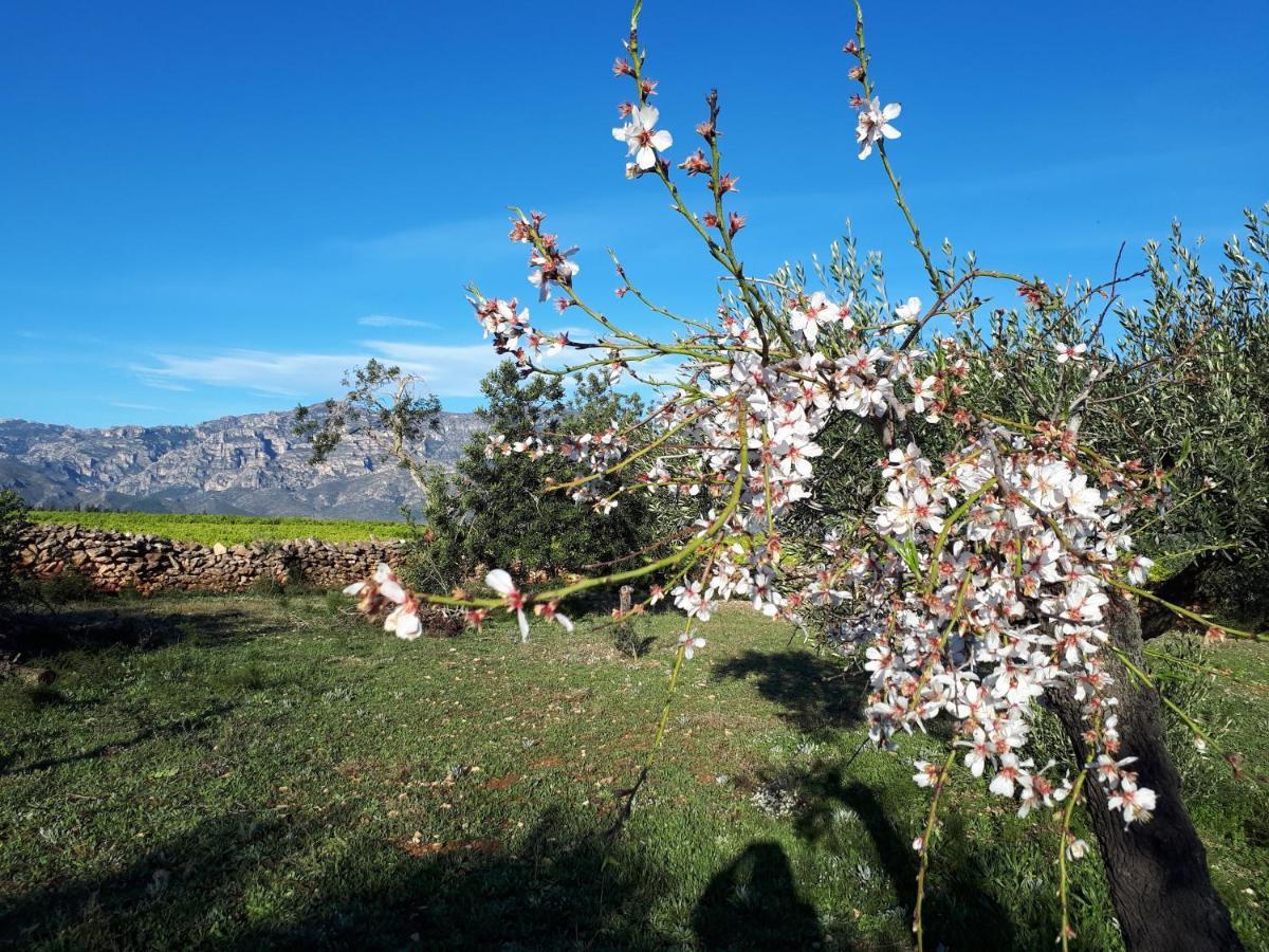 Allotjament i esmorzar Casa De Tortosa