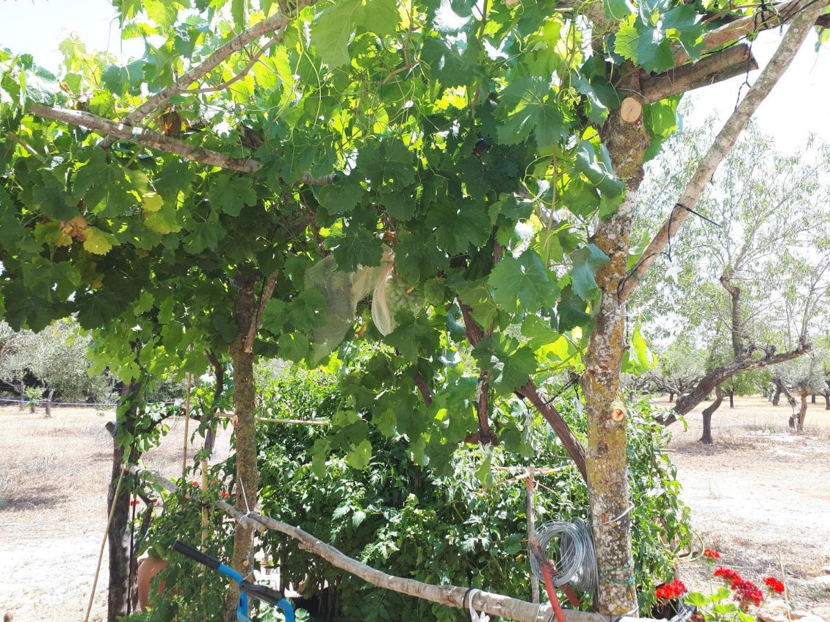 Bed & Breakfast Casa De *